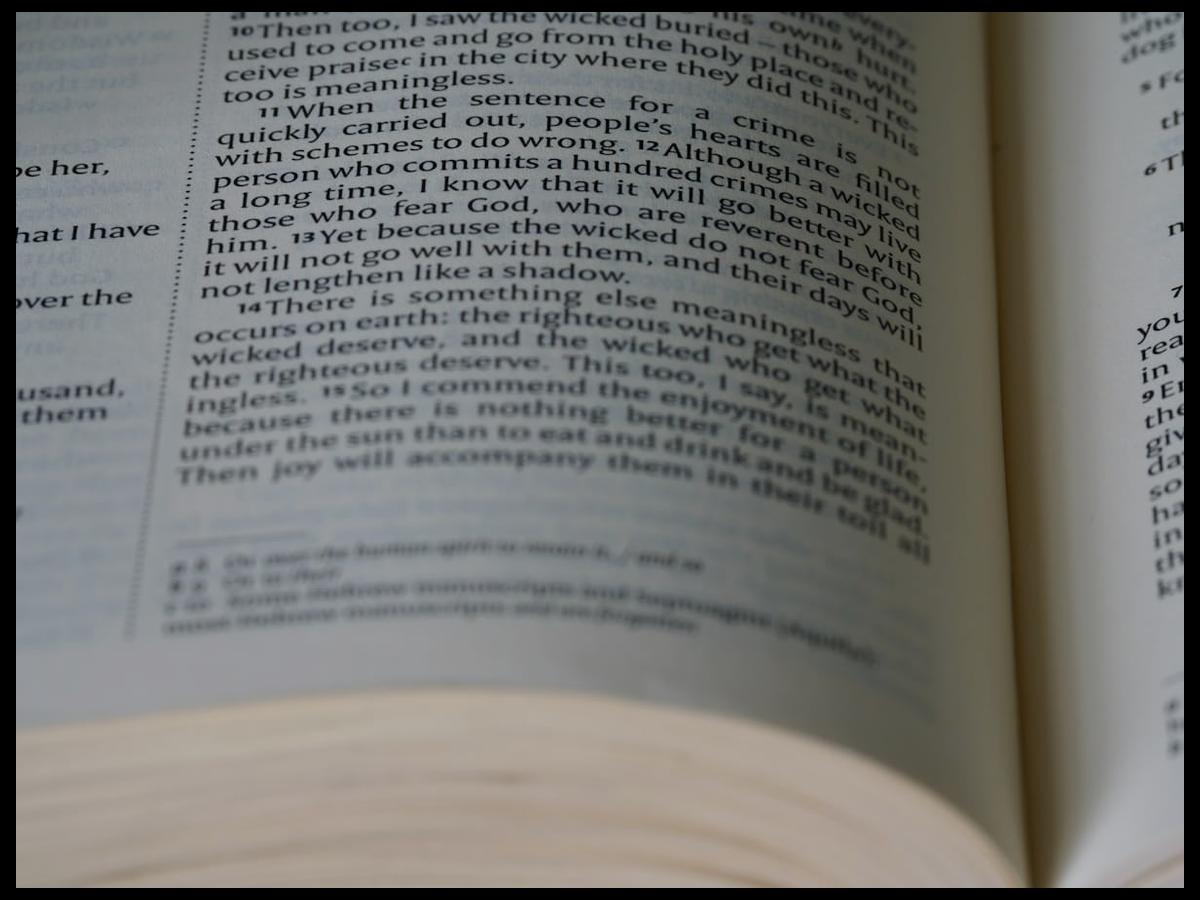 Kreator stron internetowych Mobirise