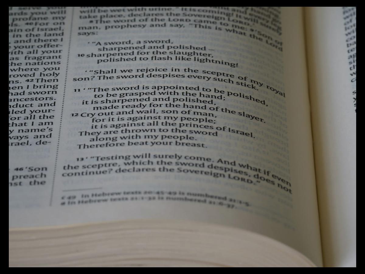 Kreator stron internetowych Mobirise