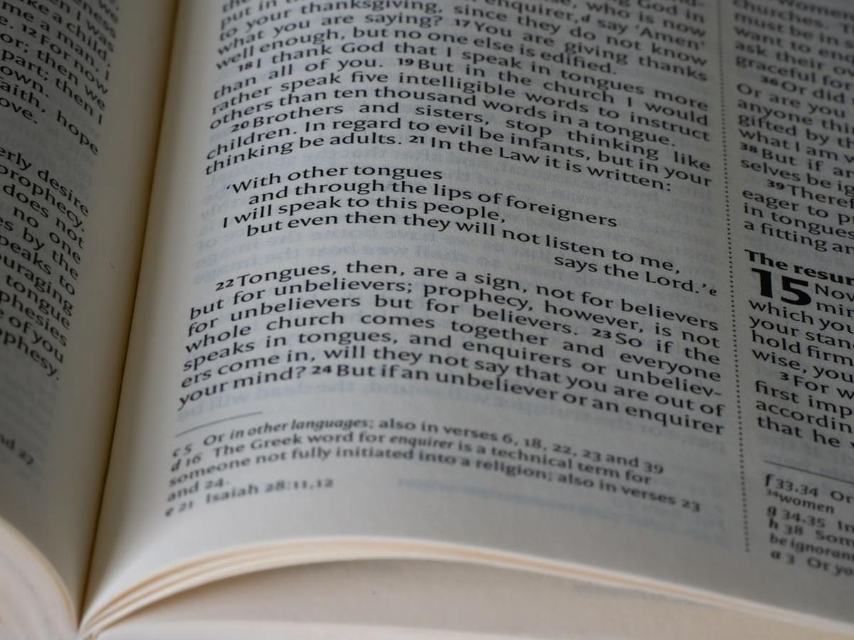 Kreator stron internetowych Mobirise