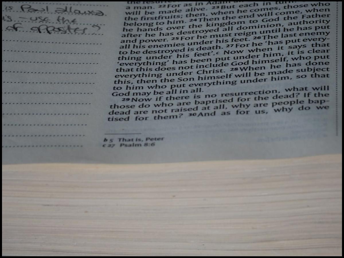 Kreator stron internetowych Mobirise